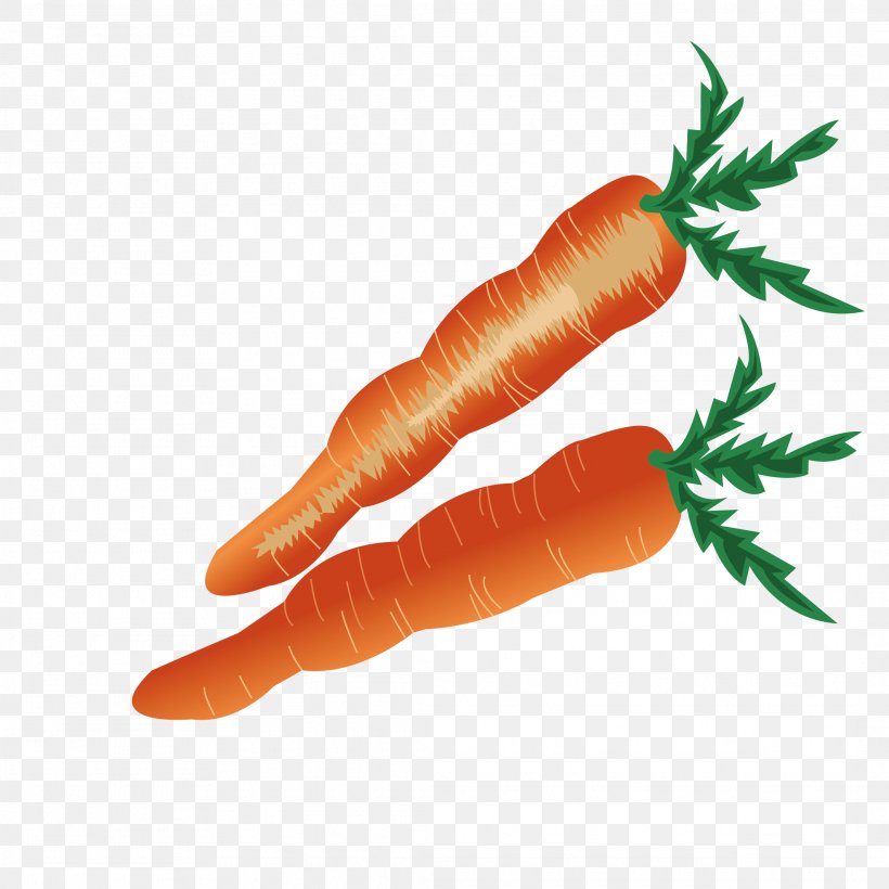 Baby Carrot Vegetable, PNG, 2126x2126px, Carrot, Animation, Baby Carrot, Cartoon, Daucus Carota Download Free