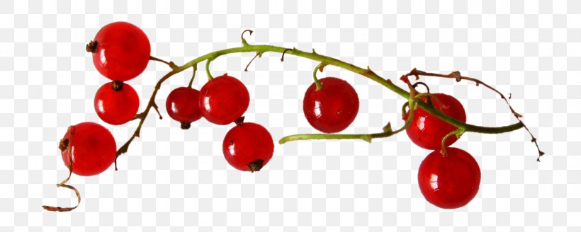 Fruit Punaisen Tuvan Viinitila Redcurrant Auglis Strawberry, PNG, 1280x512px, Fruit, Auglis, Berry, Cherry, Currant Download Free