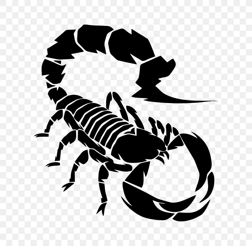 Scorpion Drawing Royalty-free Clip Art, PNG, 800x800px, Scorpion, Arachnid, Arthropod, Black And White, Drawing Download Free
