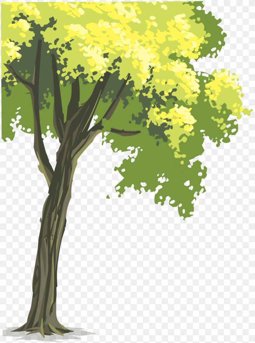 Tree Woody Plant Statistics, PNG, 1127x1519px, Tree, Autumn Leaf Color, Branch, Flora, Floral Design Download Free