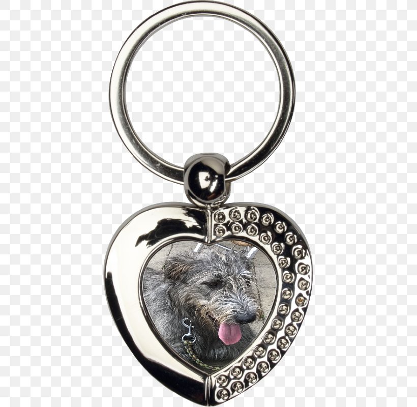 Key Chains Keyring Hedgehog Gift, PNG, 800x800px, Key Chains, Animal, Body Jewelry, Charms Pendants, Dog Like Mammal Download Free
