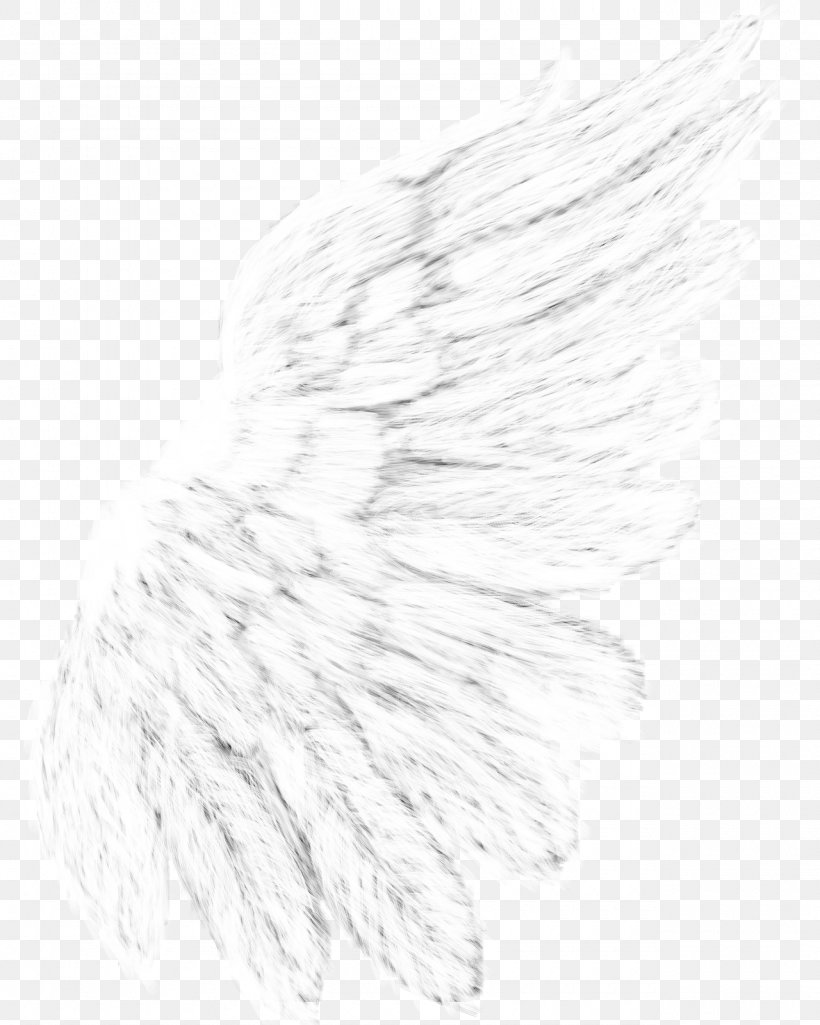 Line Art, PNG, 1280x1600px, Line Art, Black And White, Drawing, Feather, Monochrome Download Free