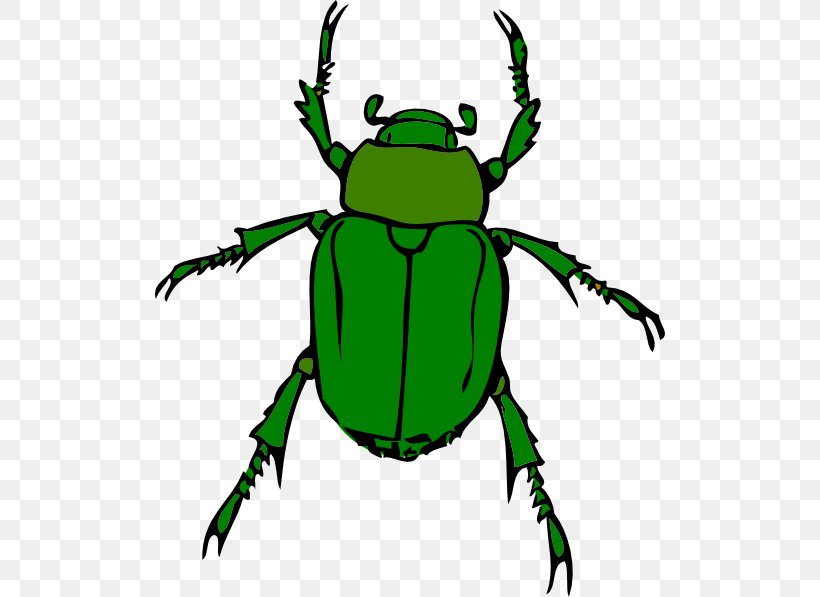 Beetle Free Content Clip Art, PNG, 510x597px, Beetle, Amphibian, Arthropod, Artwork, Free Content Download Free