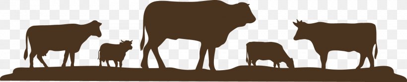 Charolais Cattle Beef Cattle Cattle Feeding Commodity Chain Intensive Animal Farming, PNG, 2009x409px, Charolais Cattle, Animal Husbandry, Beef Cattle, Brand, Cattle Download Free