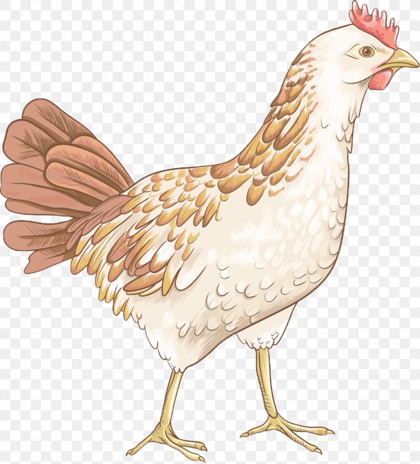 Chicken Royalty-free Clip Art, PNG, 1024x1131px, Chicken, Beak, Bird, Fauna, Feather Download Free