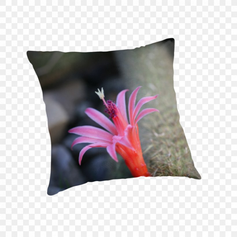 Cushion Throw Pillows Flower, PNG, 875x875px, Cushion, Flower, Pillow, Throw Pillow, Throw Pillows Download Free