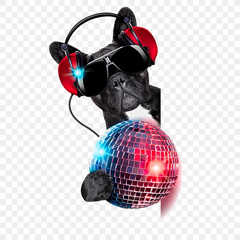 Dog Stock Photography Nightclub Disc Jockey Disco, PNG, 1000x1000px, Bulldog, Audio, Audio Equipment, Disc Jockey, Disco Download Free