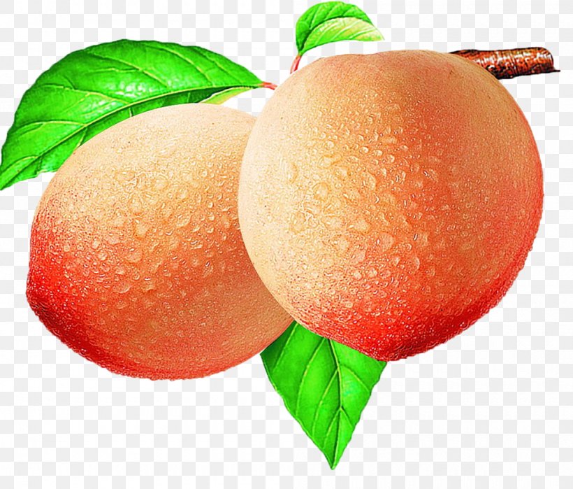 Peach Download Illustration, PNG, 1000x853px, Peach, Apple, Auglis, Citrus, Diet Food Download Free
