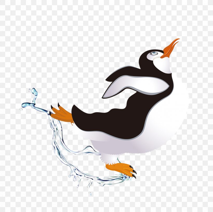 Penguin Dance, PNG, 2362x2362px, Penguin, Beak, Bird, Charadriiformes, Dance Download Free