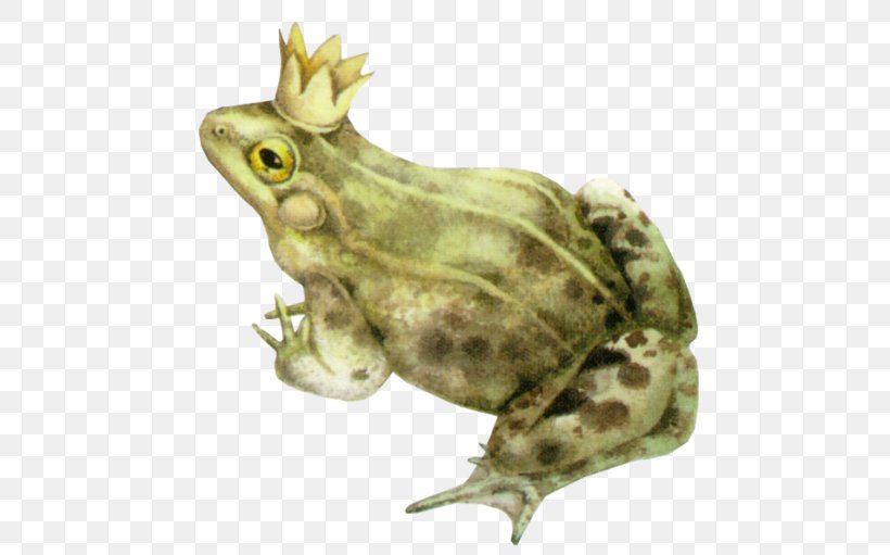 The Frog Prince Amphibian American Bullfrog Toad, PNG, 495x511px, Frog Prince, American Bullfrog, Amphibian, Animal, Bullfrog Download Free