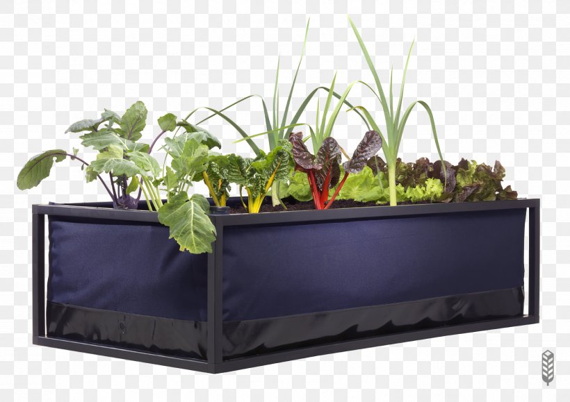 Watering Cans Irrigation Market Garden Urban Agriculture, PNG, 1403x992px, Watering Cans, Arrosage, Balcony, Flowerpot, Garden Download Free