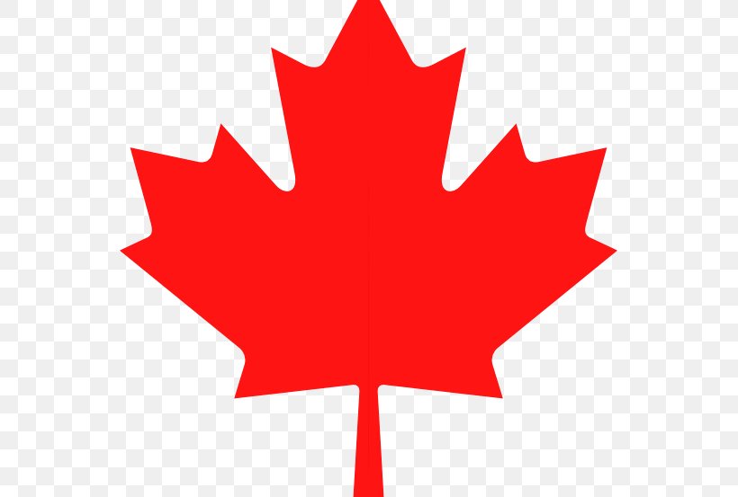 Canada Maple Leaf Clip Art, PNG, 553x553px, Canada, Flag Of Canada, Flower, Flowering Plant, Leaf Download Free