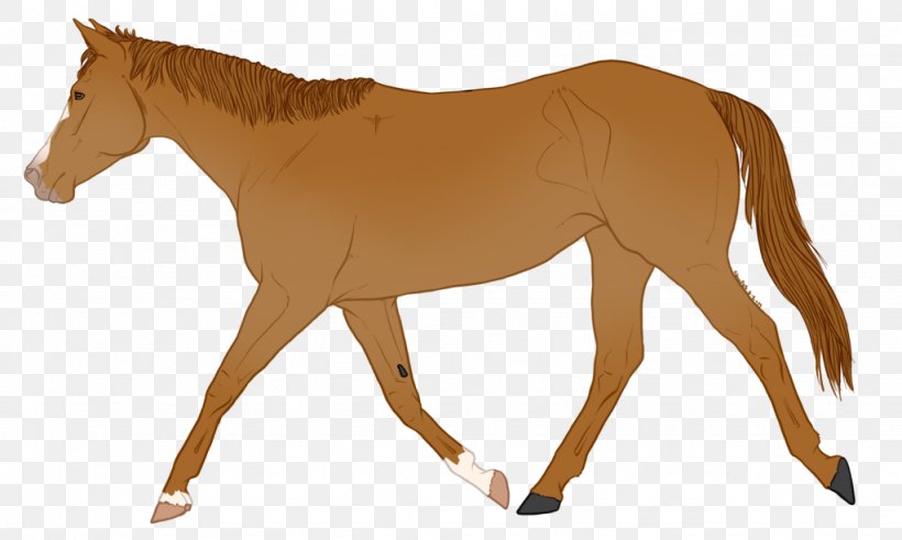 Horse Illustration Pony Vector Graphics Carriage, PNG, 1024x614px, Horse, Animal Figure, Bridle, Carriage, Colt Download Free