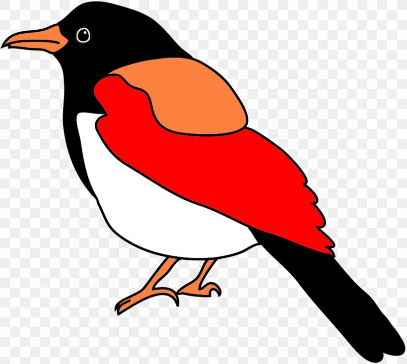 Bird Parrot Drawing Clip Art, PNG, 1181x1058px, Bird, Artwork, Beak, Bird Flight, Color Download Free