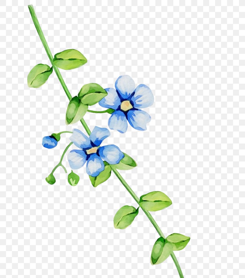 Flower Blue Plant Flowering Plant Petal, PNG, 700x930px, Watercolor, Blue, Borage Family, Flower, Flowering Plant Download Free