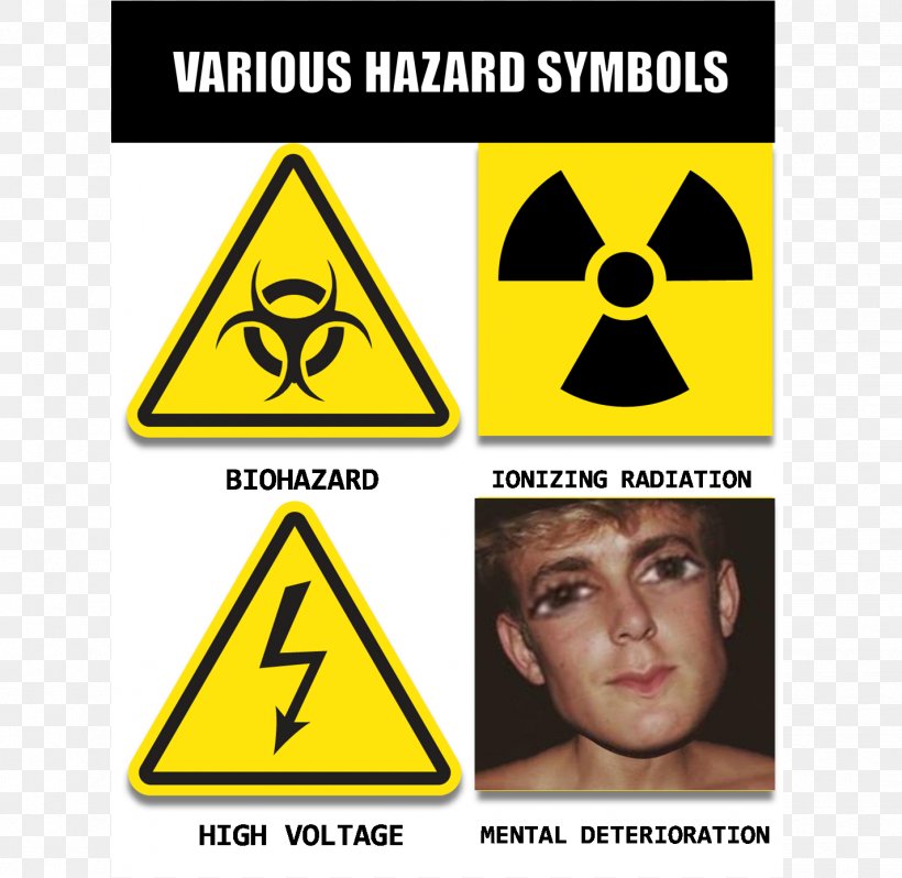 Hazard Symbol Dangerous Goods Risk Assessment, PNG, 1427x1390px, Hazard Symbol, Area, Brand, Chemical Hazard, Dangerous Goods Download Free