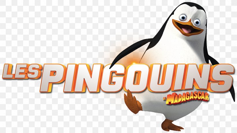 Kowalski Skipper Madagascar YouTube DreamWorks Animation, PNG, 1000x562px, Kowalski, Advertising, Animated Film, Beak, Bird Download Free