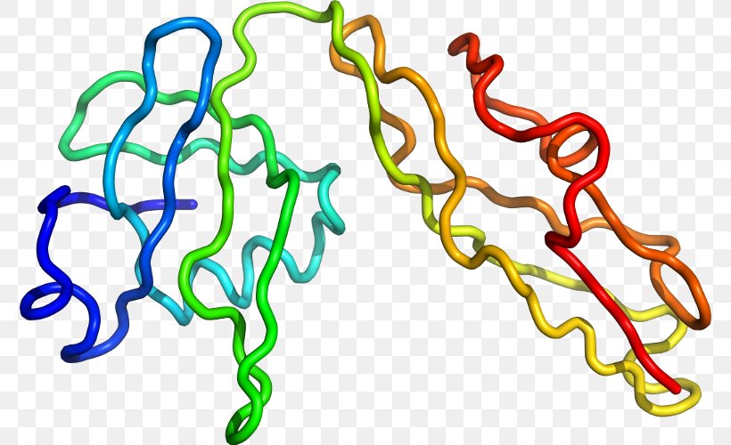 Organism Line Clip Art, PNG, 776x500px, Organism, Area Download Free