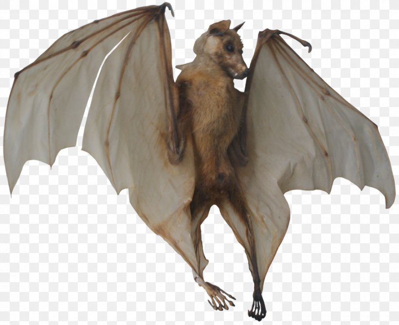 Bat Clip Art, PNG, 900x734px, Bat, Cattle Like Mammal, Computer Software, Mammal, Transparency And Translucency Download Free