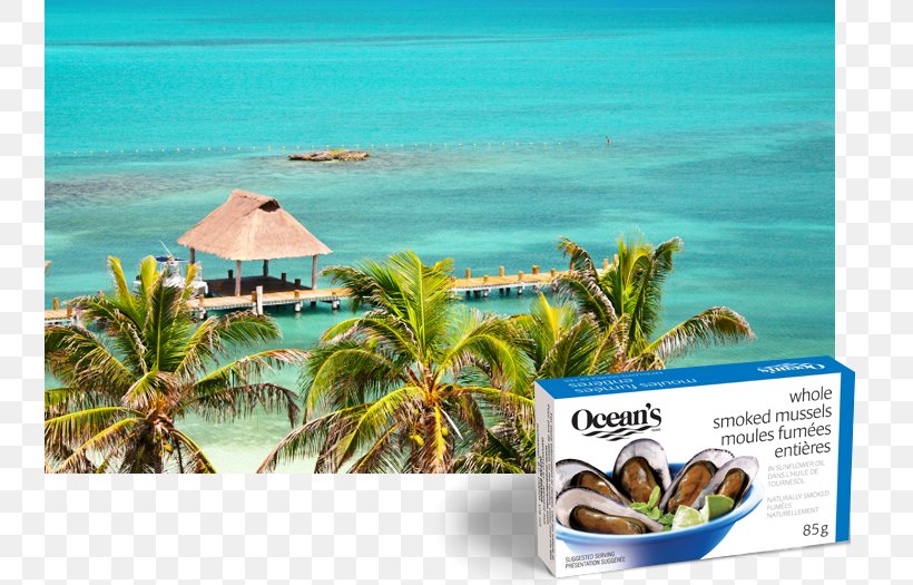 Caribbean Isla Holbox Vacation Isla Mujeres Caribe, PNG, 740x525px, Caribbean, Advertising, Beach, Caribbean Sea, Caribe Download Free