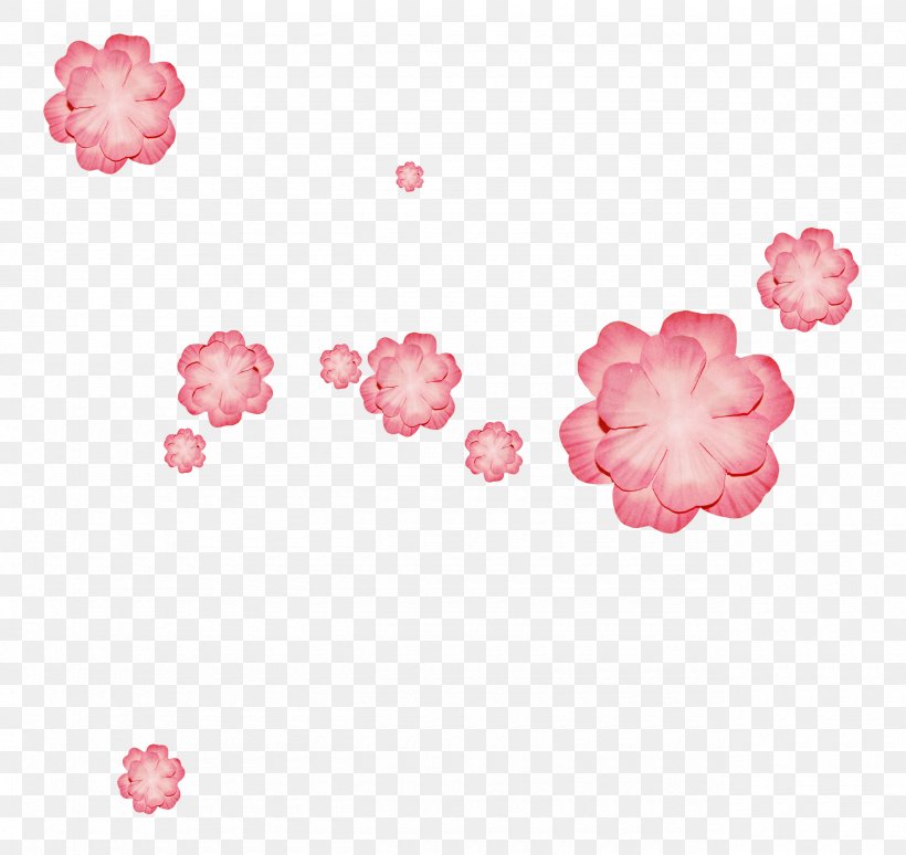 Chrysanthemum Indicum Garden Roses, PNG, 2560x2417px, Chrysanthemum Indicum, Blossom, Body Jewelry, Cartoon, Cherry Blossom Download Free