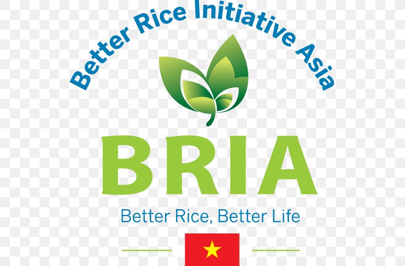 Rice ข้าวไทย Agriculture Farmer, PNG, 537x539px, Rice, Agriculture, Area, Asia, Brand Download Free