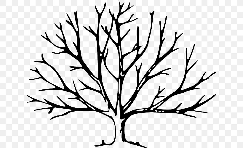 Tree Leaf Branch Oak Clip Art, PNG, 640x500px, Tree, Artwork, Black And White, Branch, Color Download Free