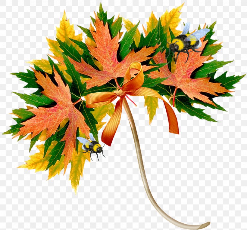 Autumn Daytime Maple Leaf Song Summer, PNG, 1200x1120px, Autumn, Abscission, Daytime, Flowering Plant, Fruit Download Free