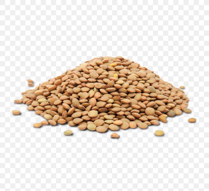 Lentil Legume Lenteja Pardina Cereal Food, PNG, 750x750px, Lentil, Bean, Cereal, Chickpea, Commodity Download Free