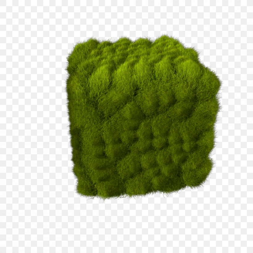Wool, PNG, 1000x1000px, Wool, Grass, Green Download Free