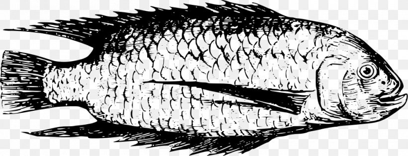 Fresh Water Freshwater Fish Lake Clip Art, PNG, 1000x383px, Fresh Water, Animal, Aquatic Animal, Artwork, Beak Download Free