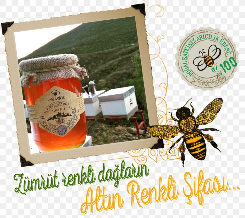 Honey Bee Beekeeping Food, PNG, 1130x1007px, Honey Bee, Agriculture, Arthropod, Bee, Beekeeping Download Free
