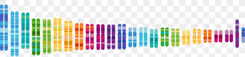 Human Genome Project 23andMe Genetic Testing Genetics DNA, PNG, 2340x550px, Human Genome Project, Anne Wojcicki, Brca Mutation, Company, Dna Download Free