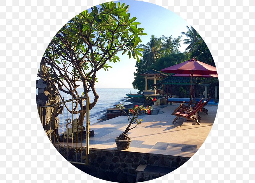 Lovina Beach Singaraja Hotel Pantai-Mas, The Bali Experience, PNG, 590x590px, Lovina Beach, Accommodation, Bali, Beach, Buleleng Regency Download Free