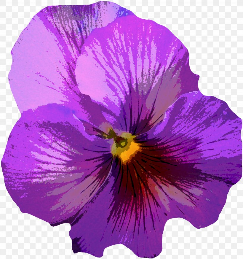 Pansy Violet Flower Purple Yellow, PNG, 4061x4324px, Pansy, Annual Plant, Blue, Color, Edible Flower Download Free