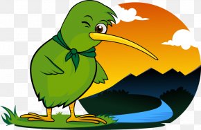 Kiwi Bird - Waitomo Glowworm Caves Hobbiton Movie Set Rotorua Waitomo Caves Auckland PNG