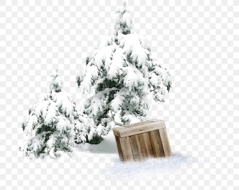 Winter Snow Tree Forest, PNG, 738x654px, Winter, Box, Christmas, Christmas Decoration, Christmas Ornament Download Free