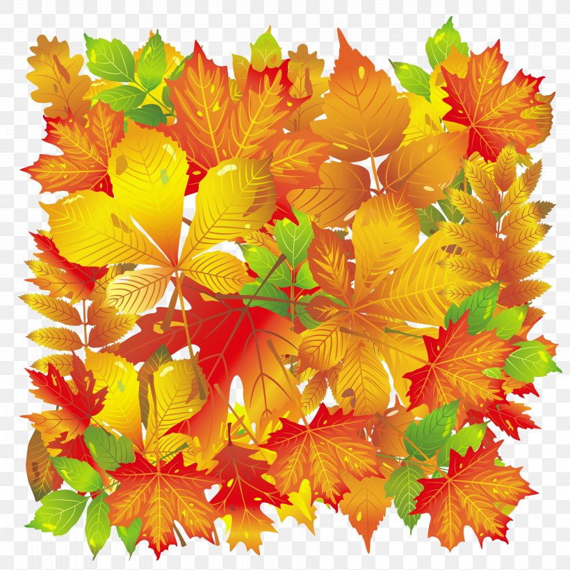 Autumn Leaf Color, PNG, 6502x6513px, Leaf, Autumn, Autumn Leaf Color, Floral Design, Flower Download Free
