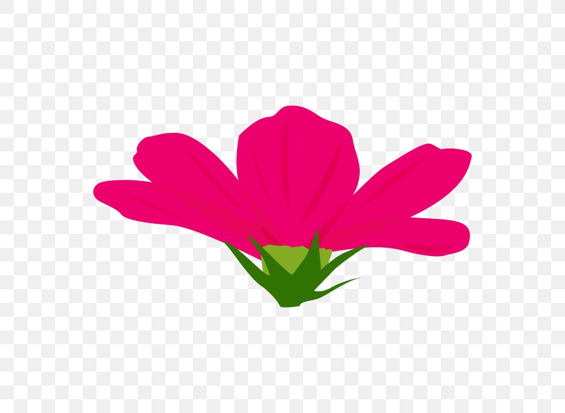Flowering Plant Clip Art Herbaceous Plant Plant Stem Pink M, PNG, 600x600px, Flowering Plant, Flora, Flower, Herbaceous Plant, Magenta Download Free