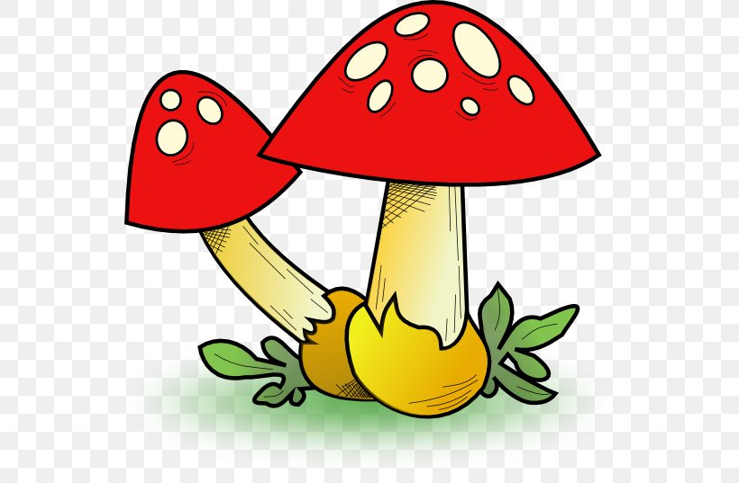Mushroom Morchella Clip Art, PNG, 600x537px, Mushroom, Artwork, Common Mushroom, Edible Mushroom, Flower Download Free