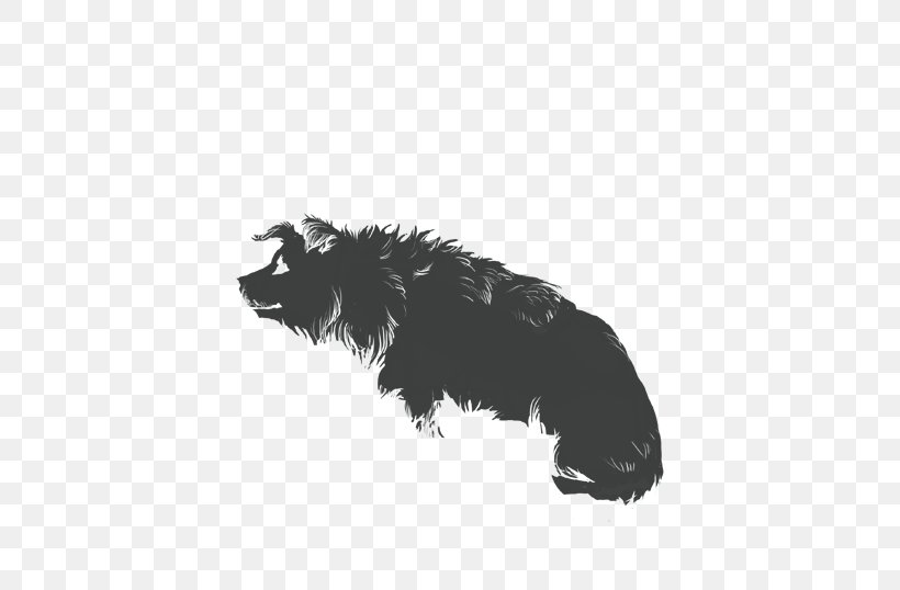 Black Border, PNG, 475x538px, Australian Shepherd, Agility, Black M, Border Collie, Directory Download Free