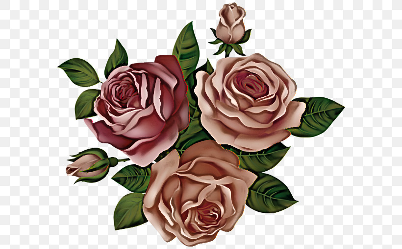 Garden Roses, PNG, 600x509px, Garden Roses, Artificial Flower, Bouquet, Camellia, Cut Flowers Download Free