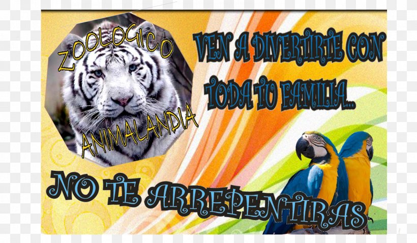 White Tiger Graphic Design Text, PNG, 1600x933px, Tiger, Advertising, Art, Bag, Big Cats Download Free