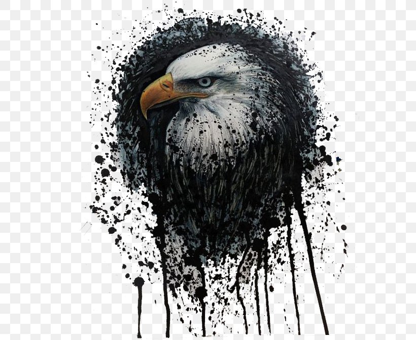 Bald Eagle Screen Printing Desktop Wallpaper Taringa!, PNG, 597x672px, Bald Eagle, Accipitriformes, Art, Beak, Bird Download Free