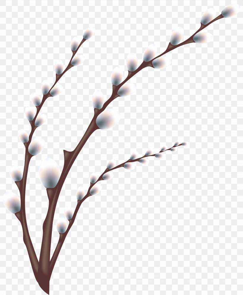 Easter Egg Tree Egg Hunt Easter Customs, PNG, 4940x6000px, Weeping Willow, Branch, Catkin, Easter, Easter Egg Tree Download Free