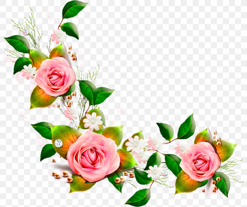 Flower Clip Art, PNG, 800x686px, Flower, Blossom, Color, Cut Flowers, Flora Download Free