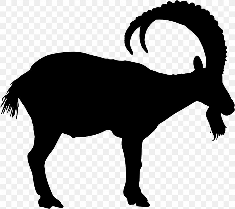 Goats Clip Art Horn Bighorn Snout, PNG, 1125x1000px, Goats, Bighorn, Cowgoat Family, Goat, Goatantelope Download Free