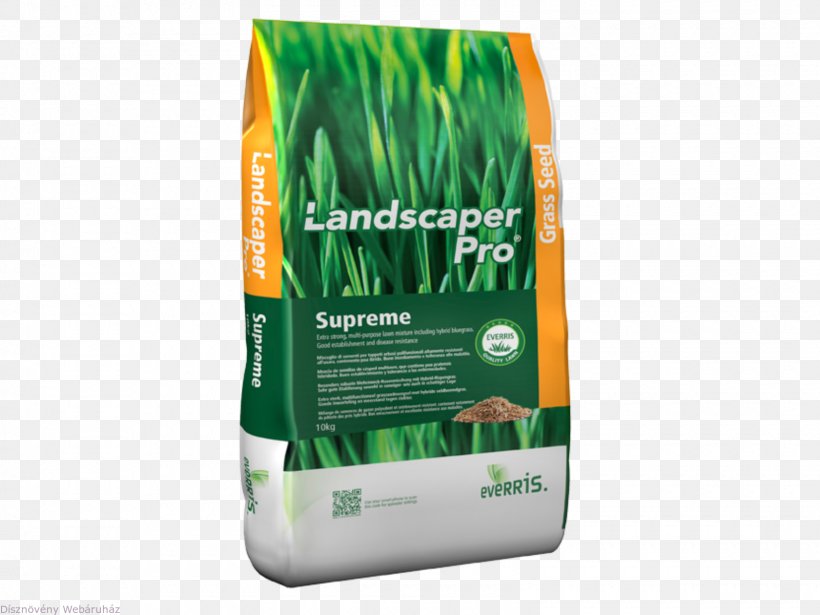 Lawn Seed Ryegrass Fertilisers Festuca Rubra, PNG, 1600x1200px, Lawn, Brand, Fertilisers, Fescues, Festuca Rubra Download Free
