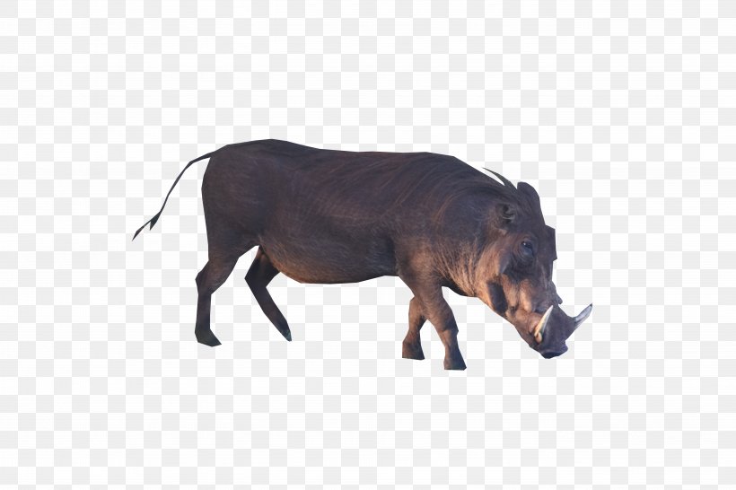 Wild Boar Common Warthog Transparency Desktop Wallpaper, PNG, 5472x3648px, Wild Boar, Cattle, Cattle Like Mammal, Common Warthog, Eight Legs Download Free