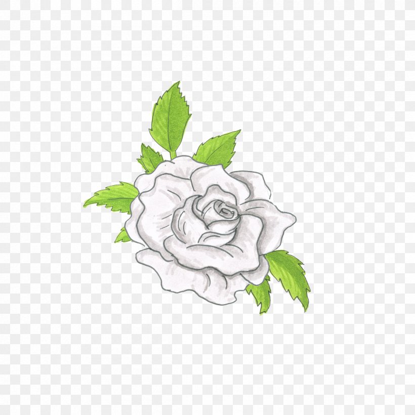 Drawing Of Family, PNG, 2400x2400px, Garden Roses, Cabbage Rose, Cut Flowers, Drawing, Floral Design Download Free